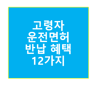고령자 운전면허 반납 혜택