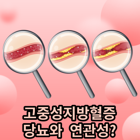 돋보기 고중성지방혈증 당뇨 혈관건강