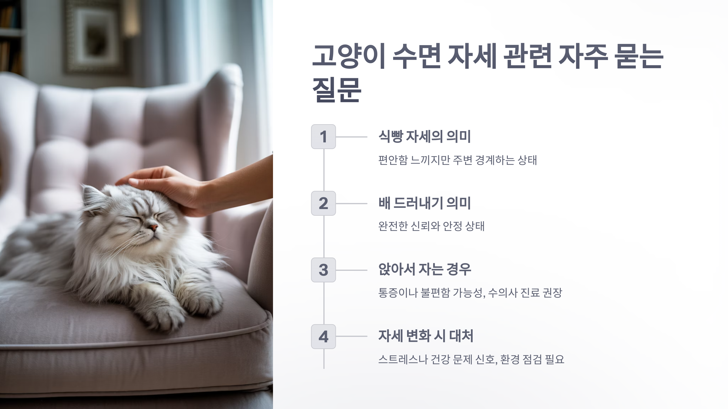 참조-고양이의-자는-자세-6