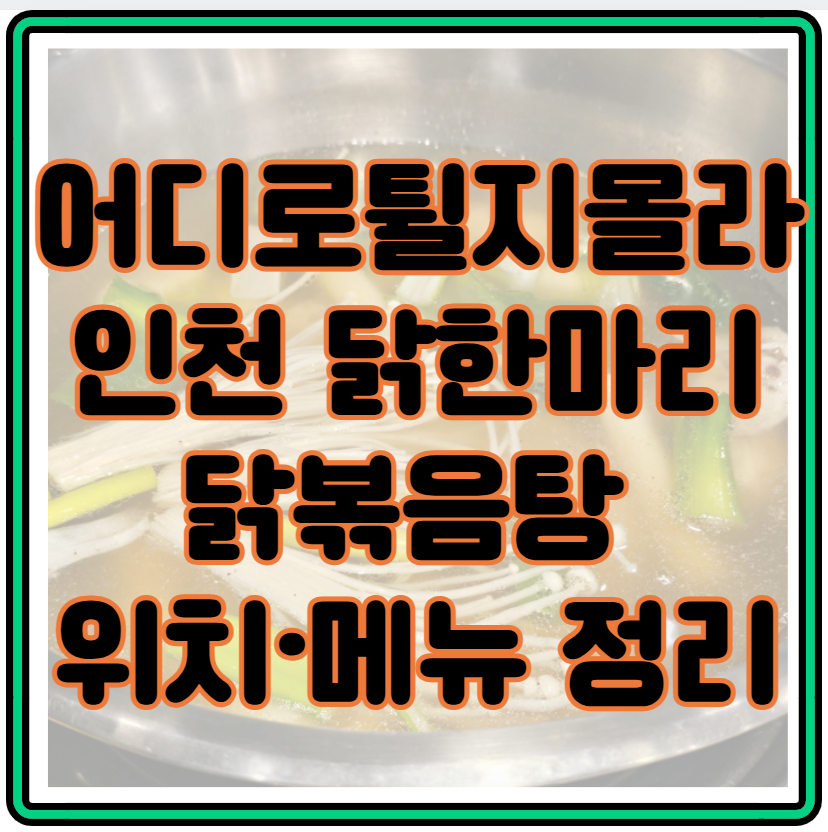 방송 맛집 인증! 인천 동암역 닭한마리 닭볶음탕 위치·메뉴 총정리