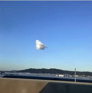 골든걸스 출연진 총정리 재방송 OTT