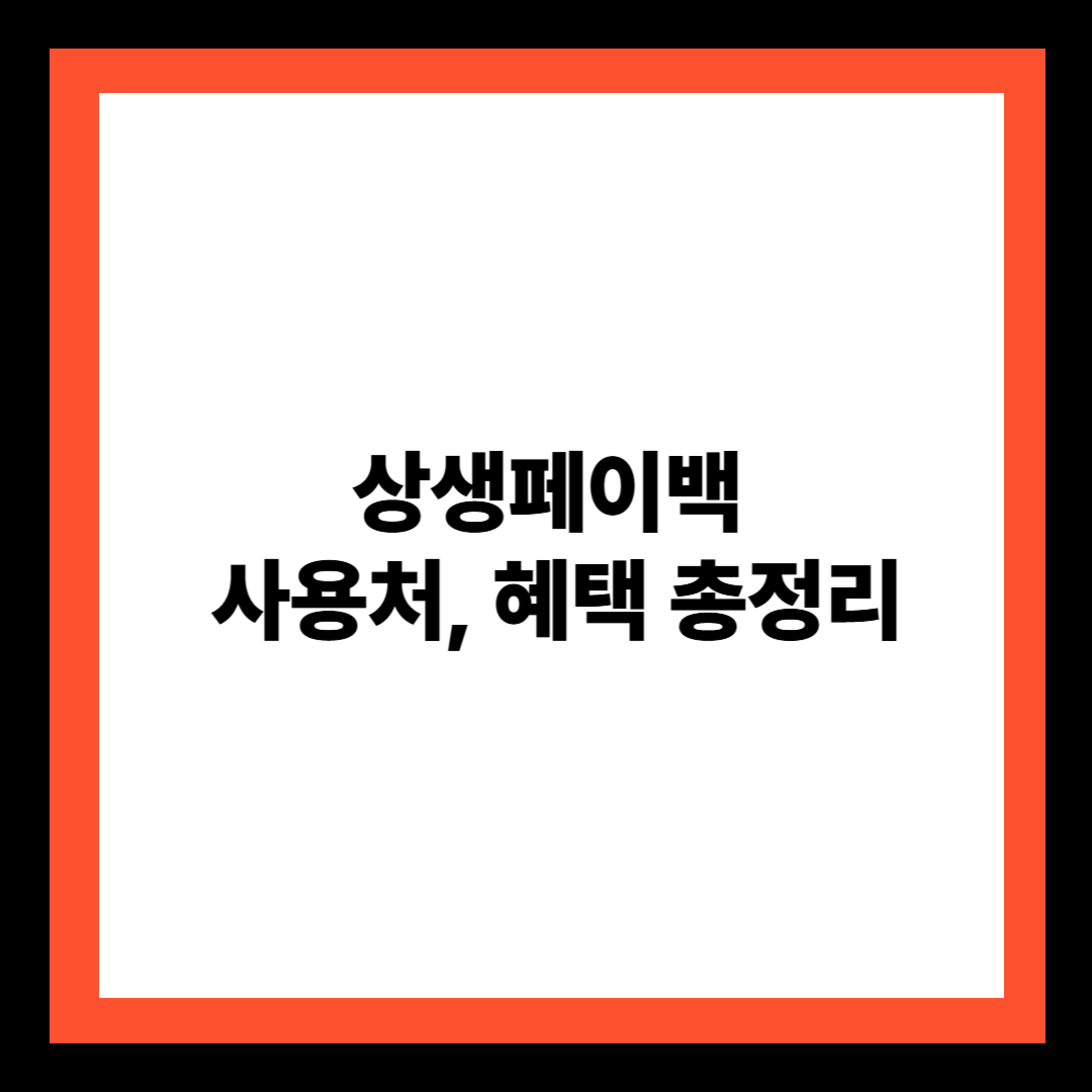 상생페이백 사용처 & 혜택 총정리