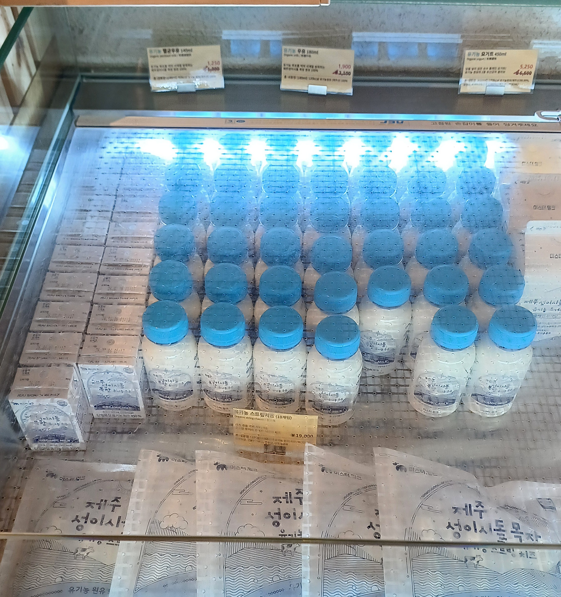 성이시돌목장-카페-16