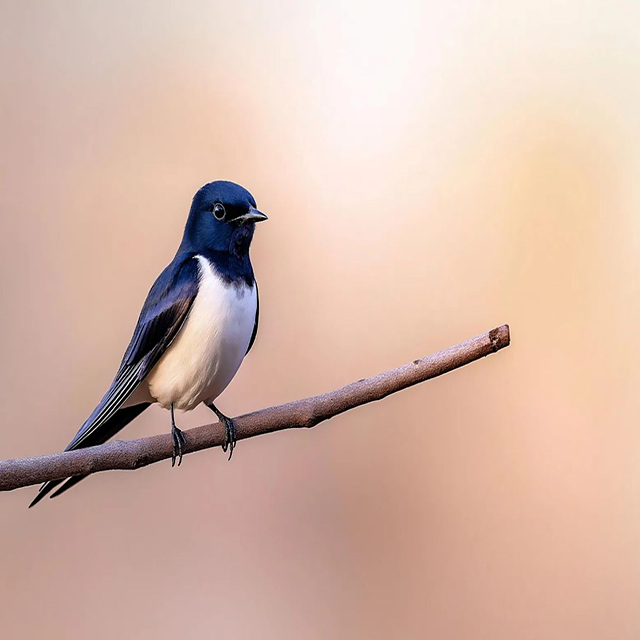 2026년 설 기차 취소표 예매 방법