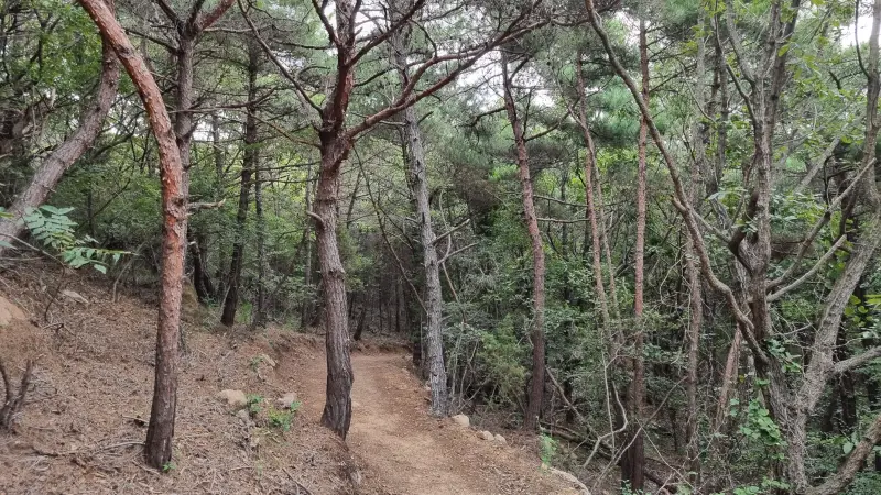 산책로