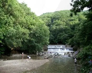유명산 자연휴양림_7