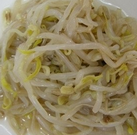 숙주나물의 효능 부작용 요리 고르는법