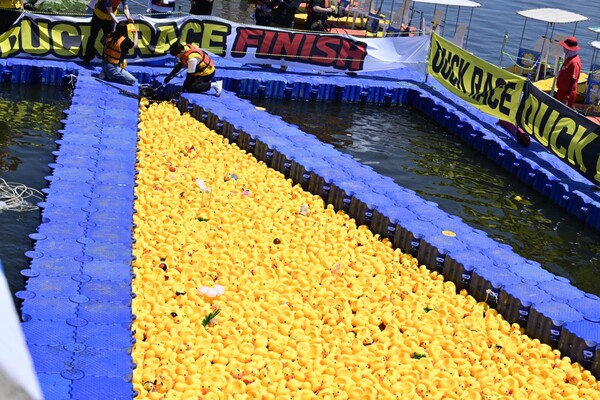 오리 인형이 수면 위를 떠다니는 레이스 현장