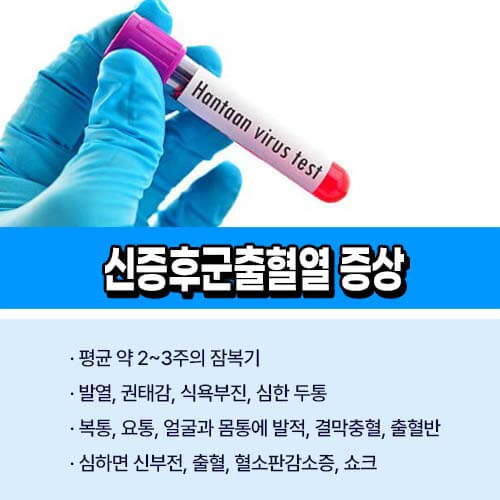 신증후군출혈열 증상