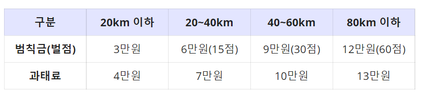 속도위반 범칙금 및 과태료