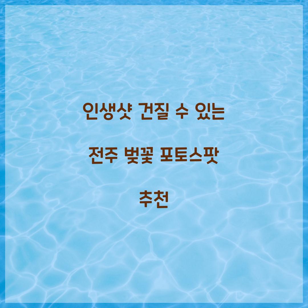 인생샷 건질 수 있는 전주 벚꽃 포토스팟