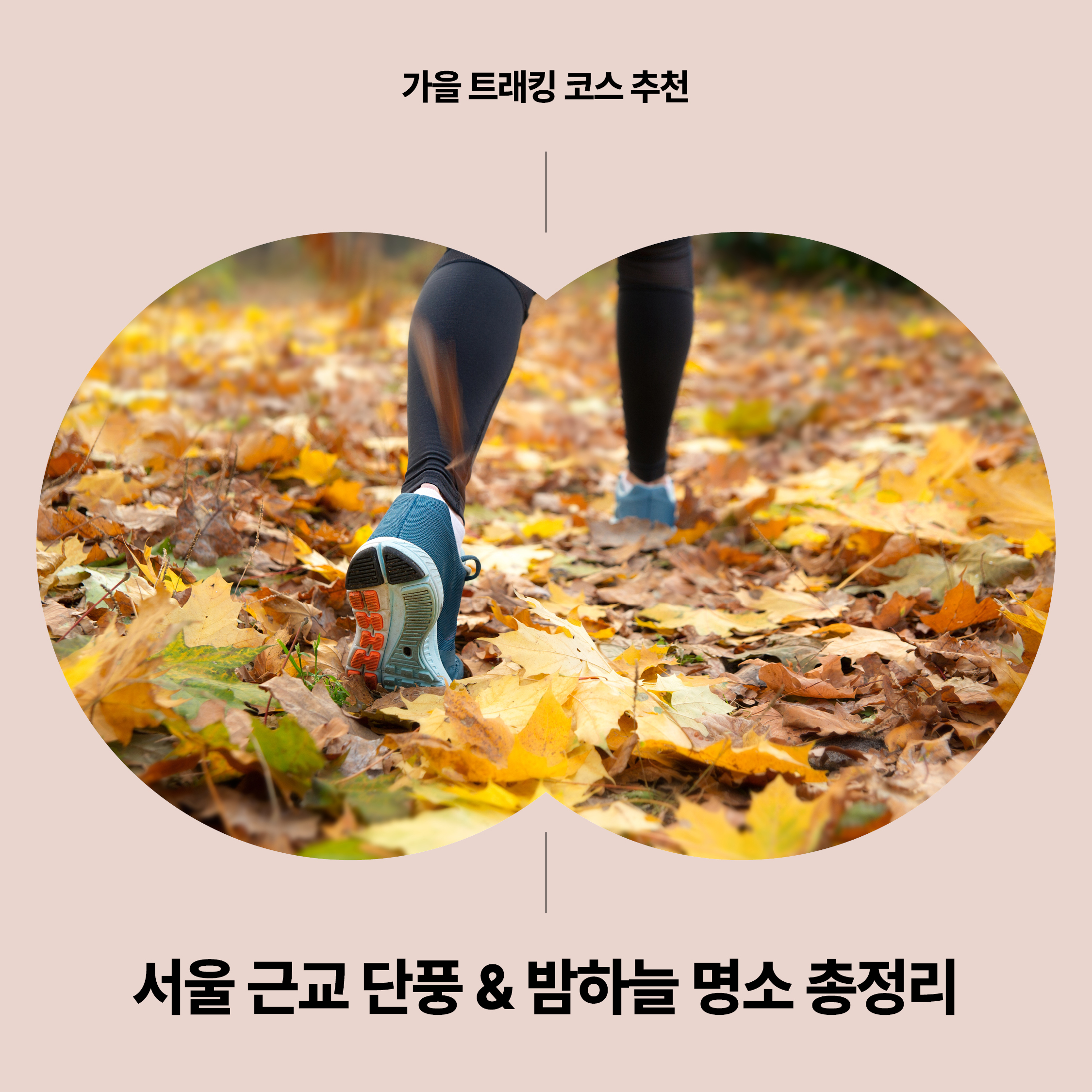가을 단풍길을 트래킹하는 사람의 발걸음 클로즈업, 서울 근교 가을 트래킹 &amp; 밤하늘 명소 추천 썸네일 이미지