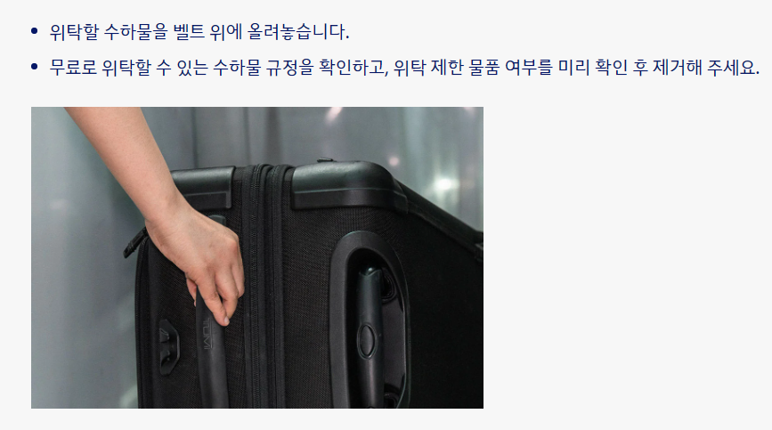 수하물 위탁