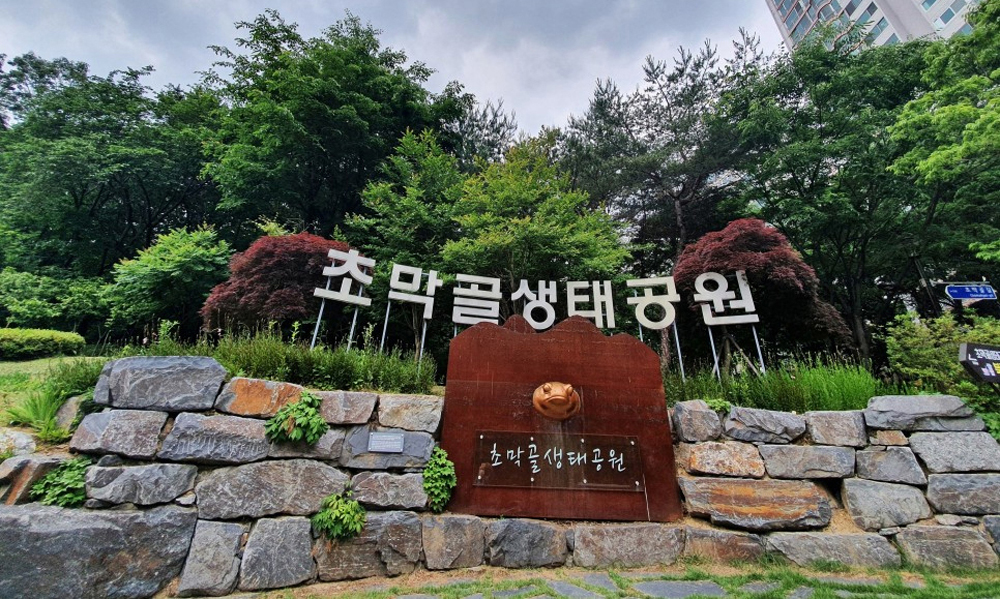 경기도 군포시 초막골생태공원 느티나무야영장 소개