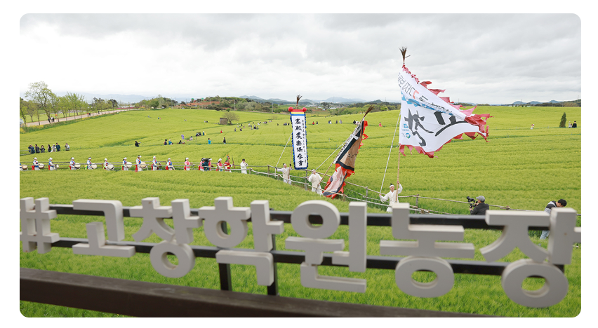 고창 청보리밭 축제