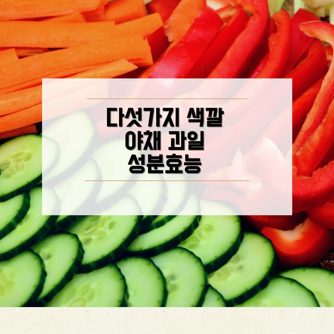 다섯가지 색깔 야채과일 효능
