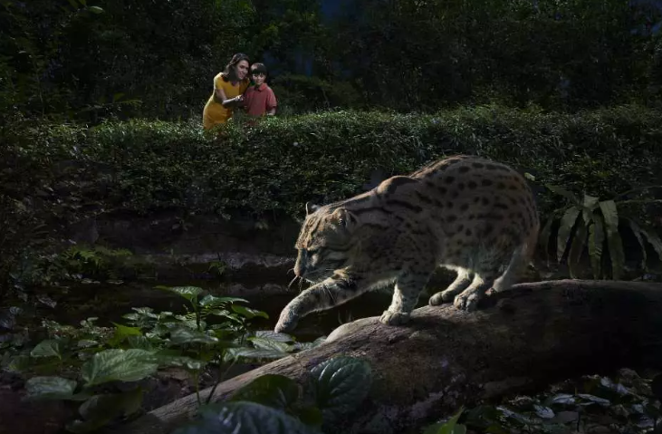 싱가포르 아이들과 함께 가볼만한곳 BEST 08 싱가포르 여행 추천 코스