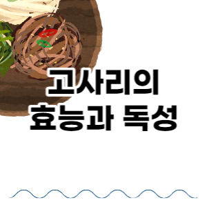 이미지 썸네일