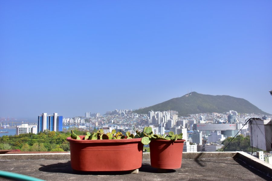 대청동 색채마을