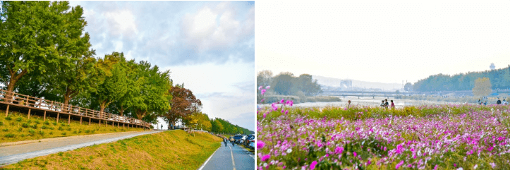 2024 단풍절정시기 지도 명소 설악산 축제 가을 지역별 시기 정보 화담숲 단풍