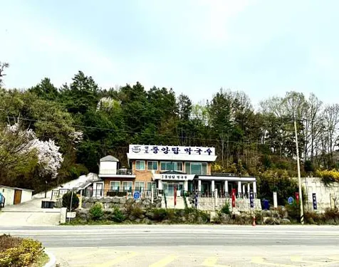 원조중앙탑막국수 충주점