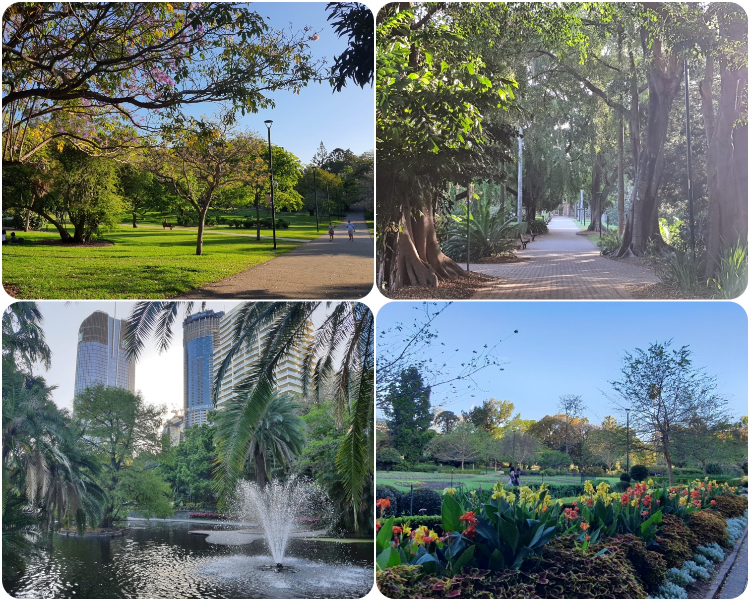 시티 보타닉 가든 내부 모습