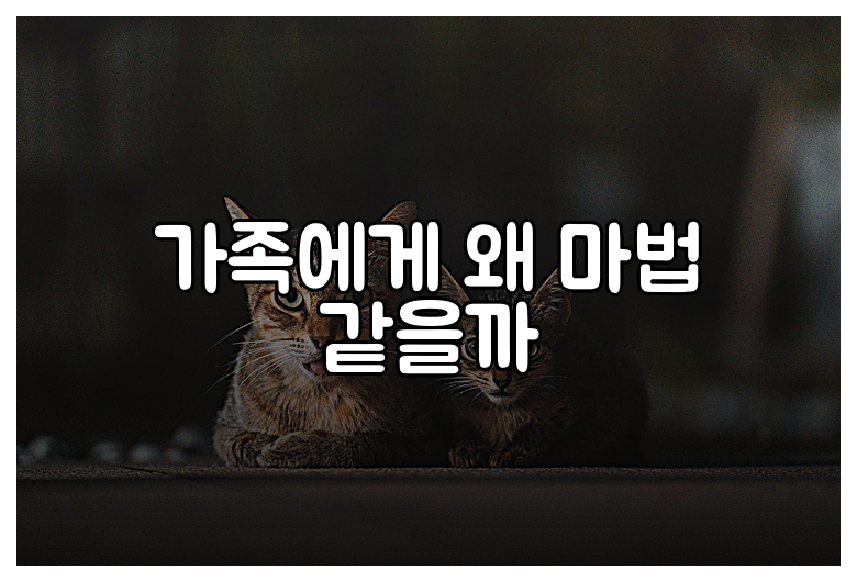 가족에게 왜 마법 같을까