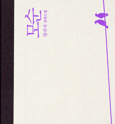 삶을 꿰뚫는 장편소설『모순』, 모티프, 미시적 관계, 파편과 연결