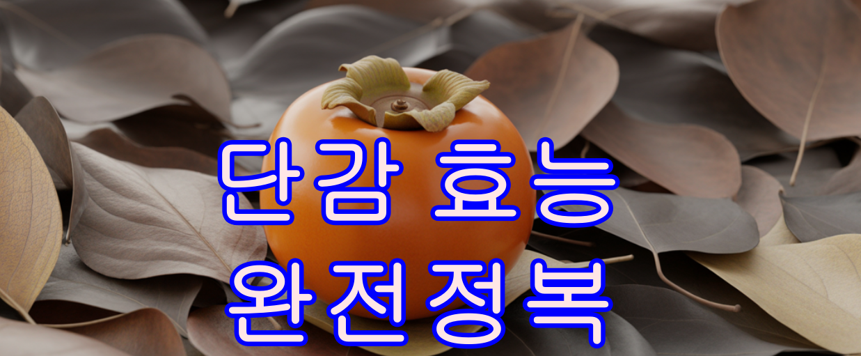 단감 효능 완전정복