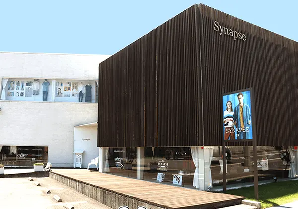 synapse