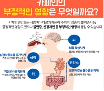 카페인 부작용 중독 증상 두통 원인 정리 정보_2