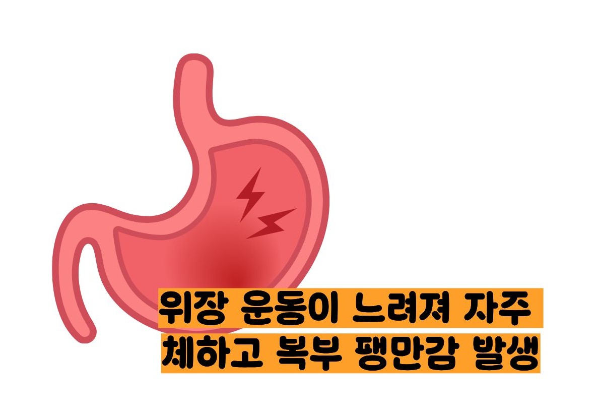 자율신경 실조증 증상