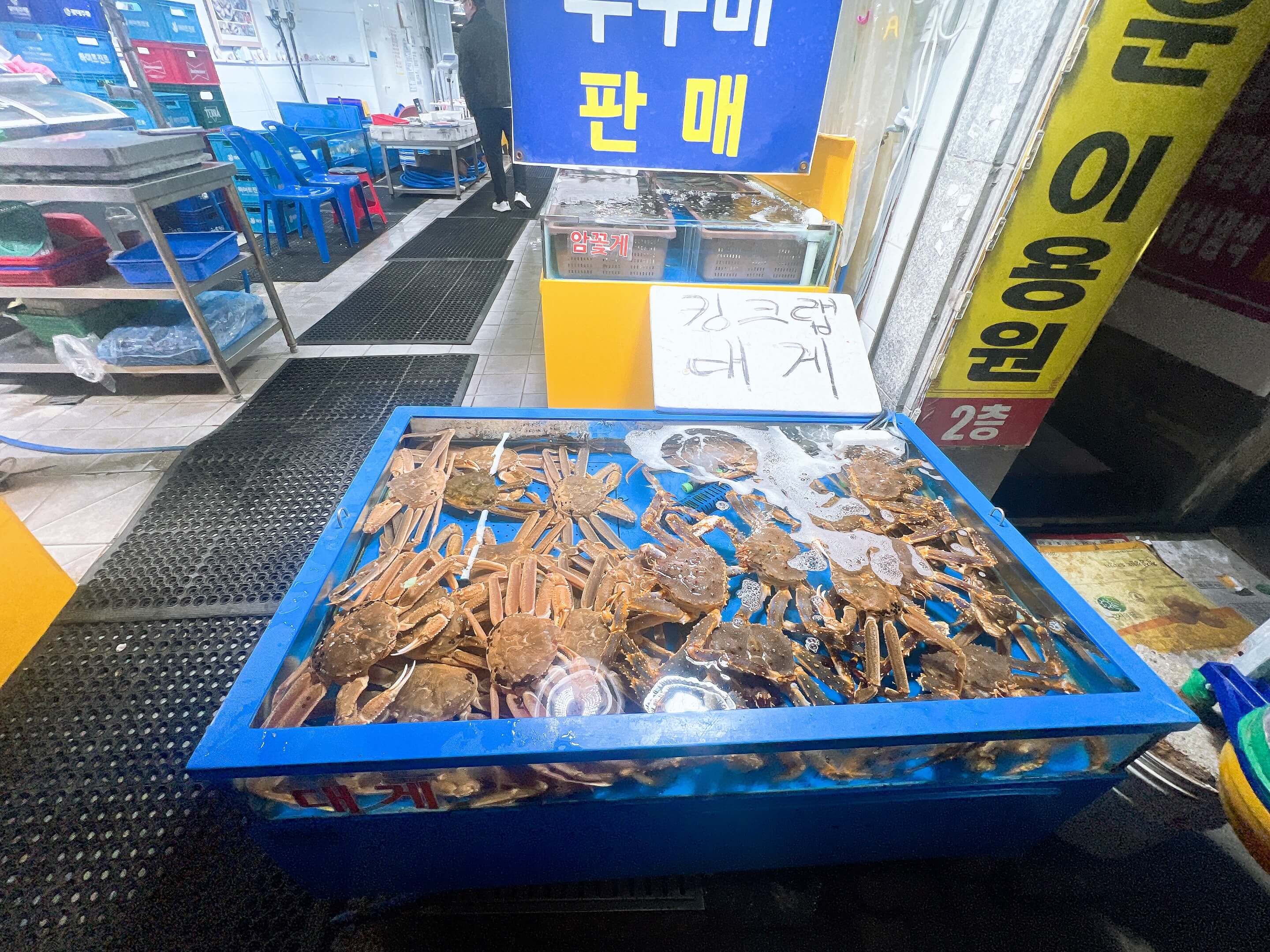 경동시장 다퍼줘 횟집 관련 사진