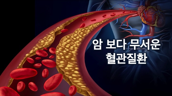단감 효능 칼로리 보관법 곶감 홍시 효능 부작용