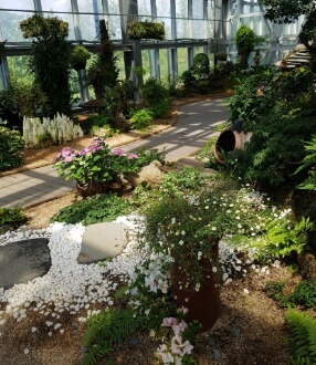 우리꽃식물원 6일간 무료 개방