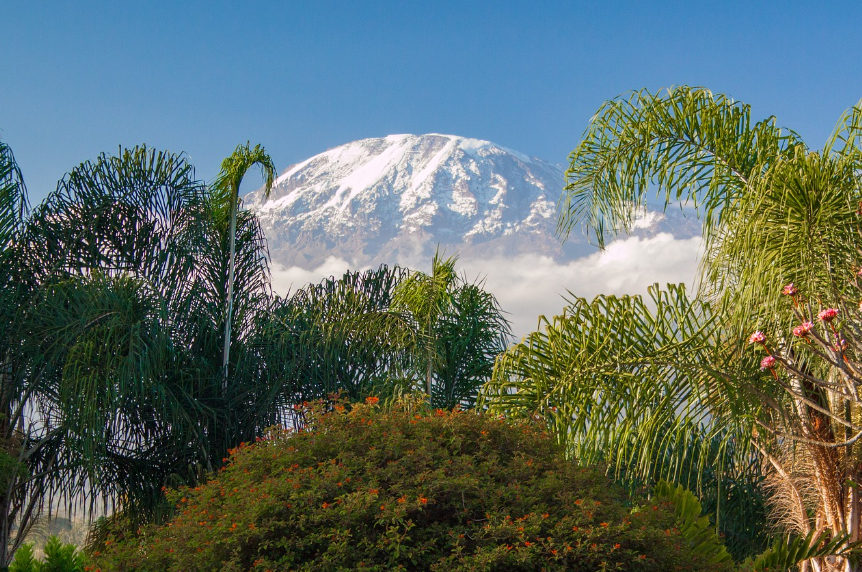 킬리만자로 산과 정글의 전경