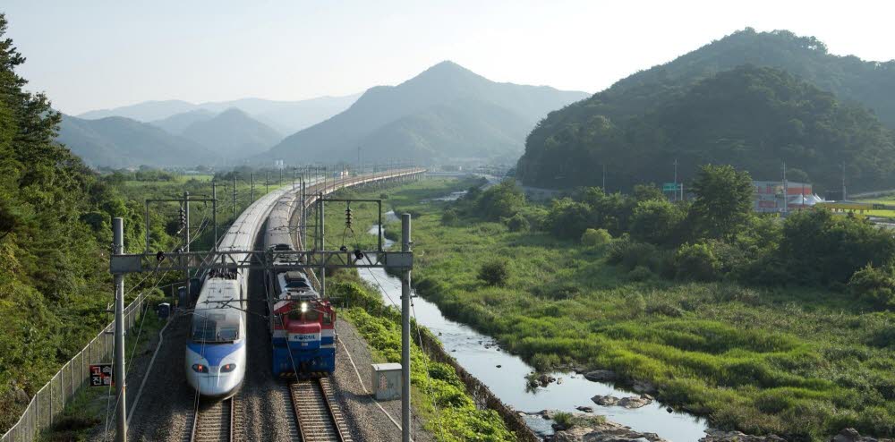 반려동물과 함께하는 대중교통