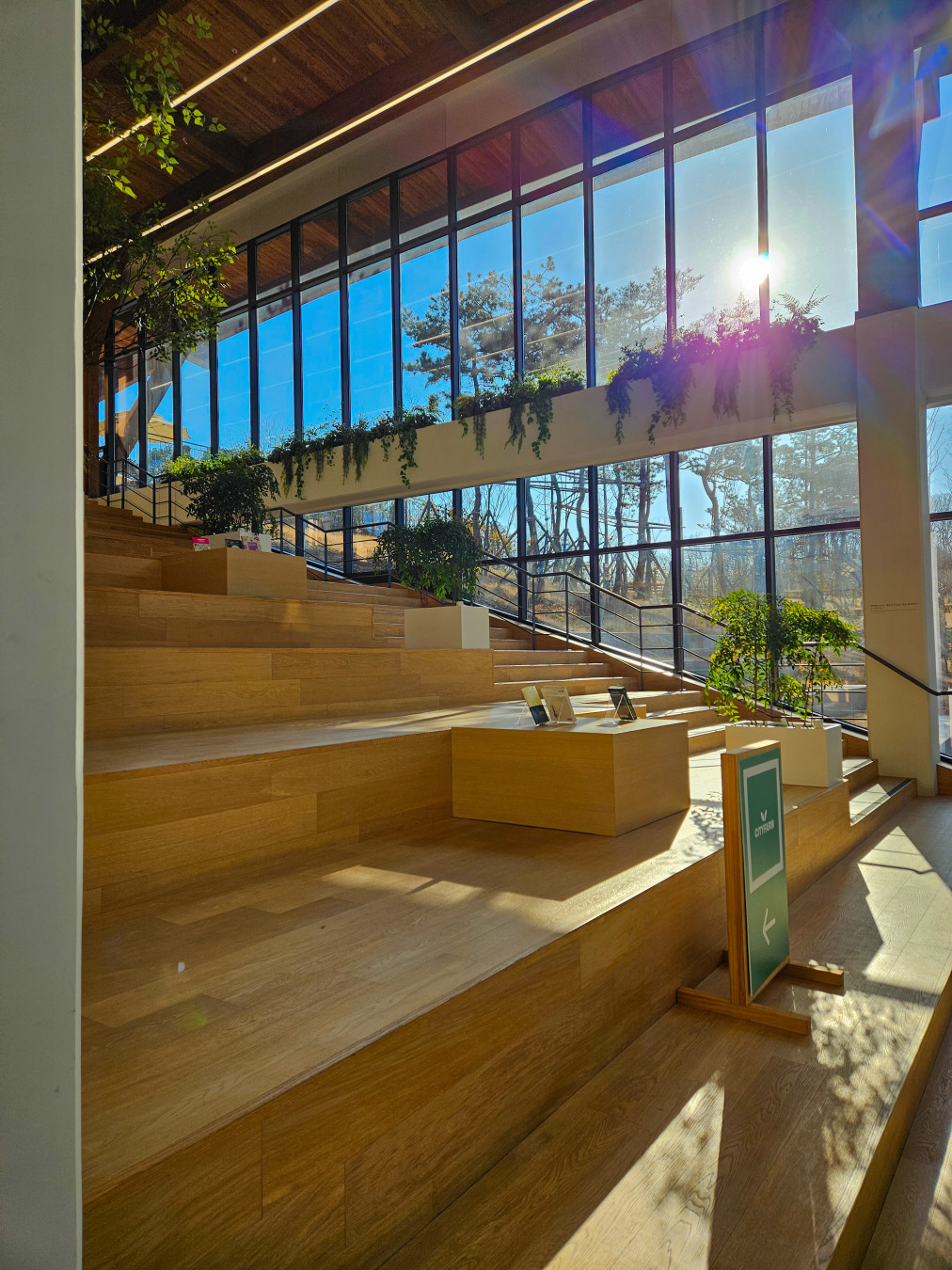 영흥 수목원 의자