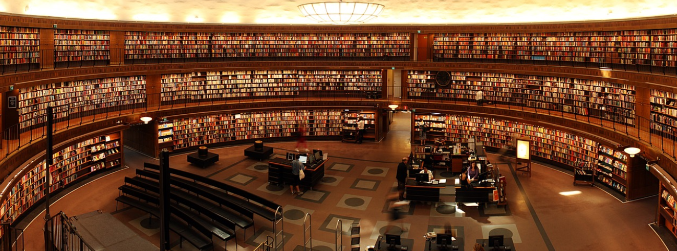 대학 도서관 사진