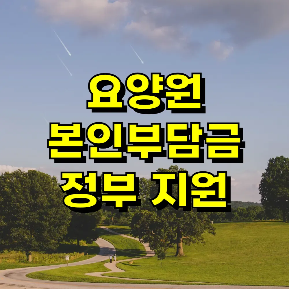 요양원 본인부담금 정부 지원