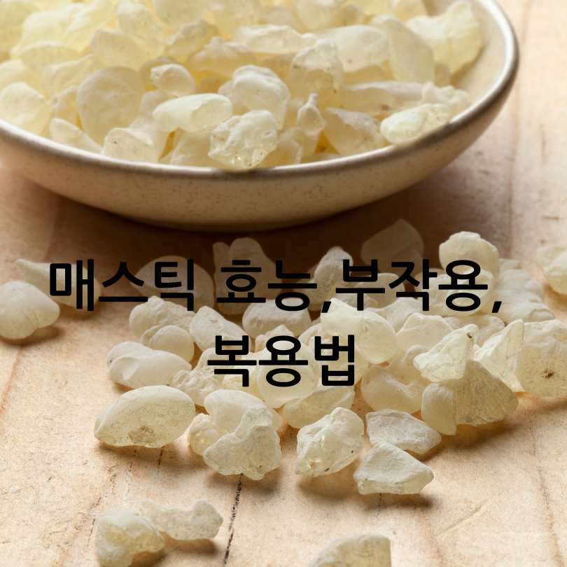 매스틱 효능,부작용,복용법
