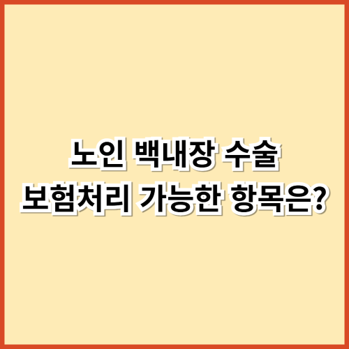 노인 백내장 수술, 보험처리 가능한 항목은?