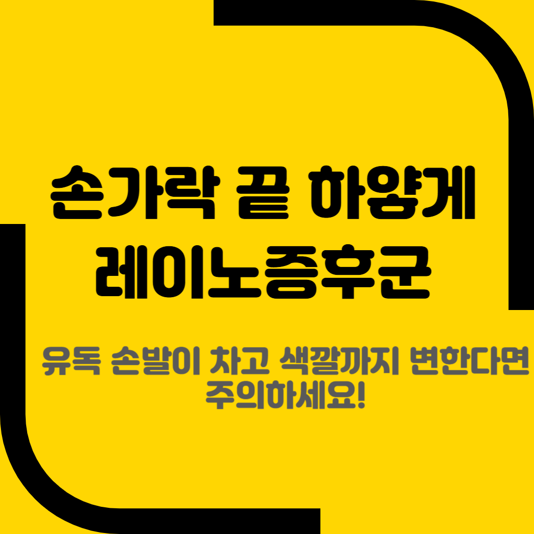 손가락 끝 하얗게 레이노증후군
