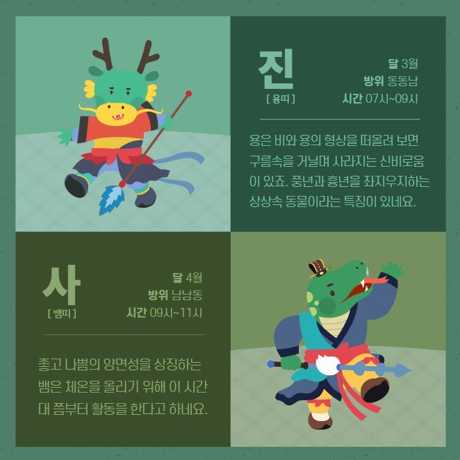 용과 뱀사진