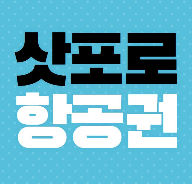 삿포로항공권