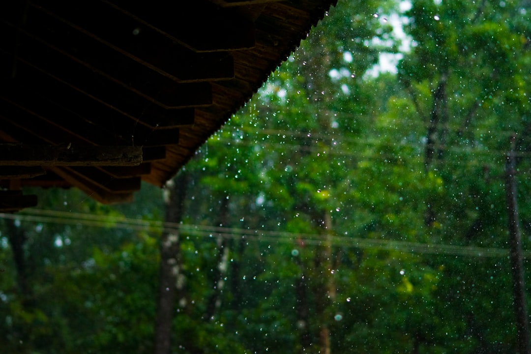 rainout