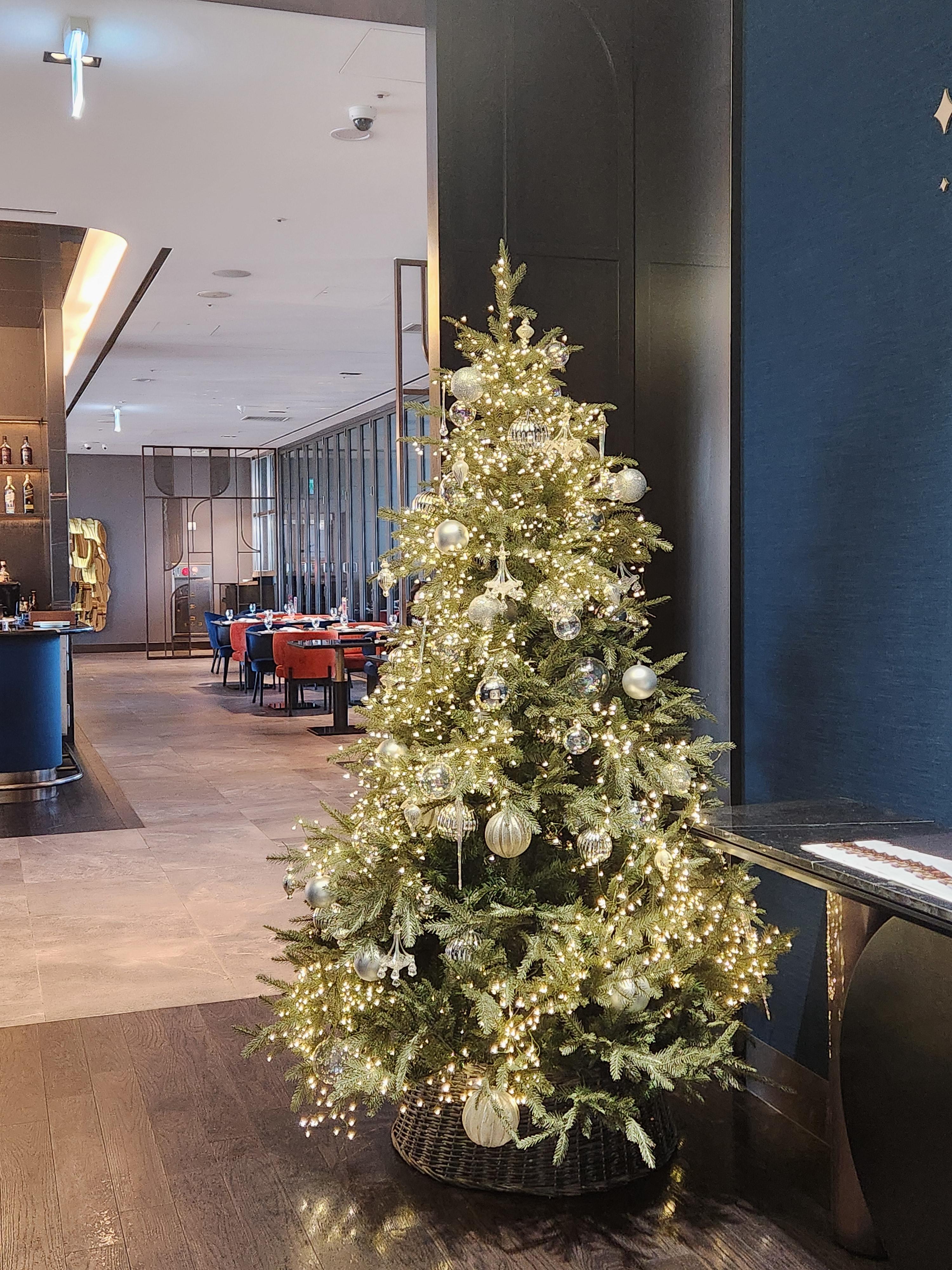 판교더블트리레스토랑닉스