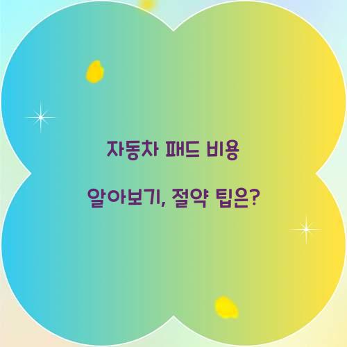 자동차 패드 비용