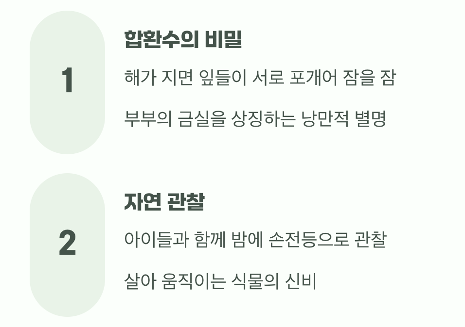 비결 4. 밤이 되면 잠자는 신비로운 잎