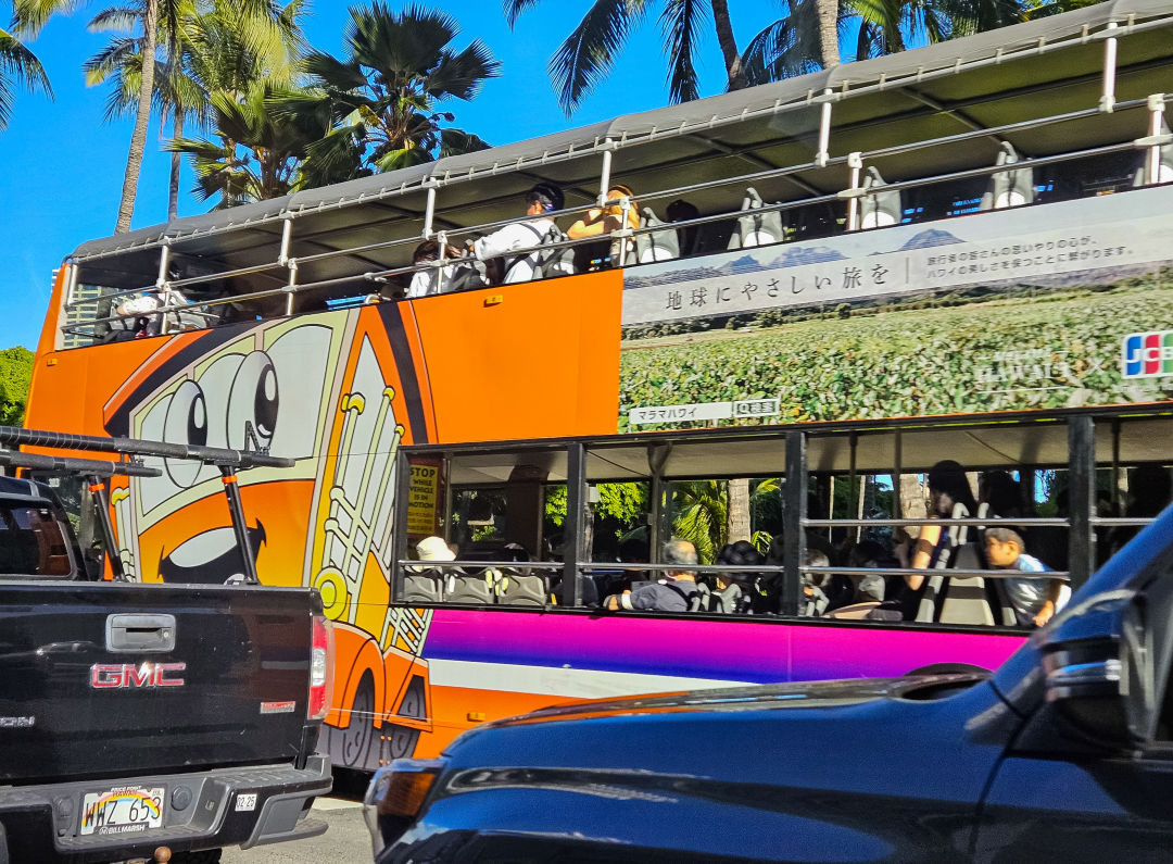 하와이 핑크 트롤리 외형